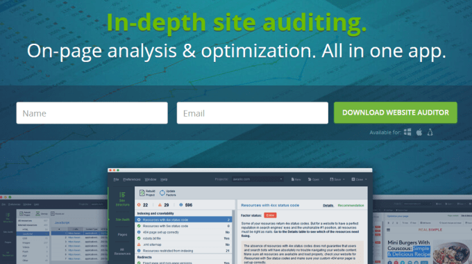 website auditor 2