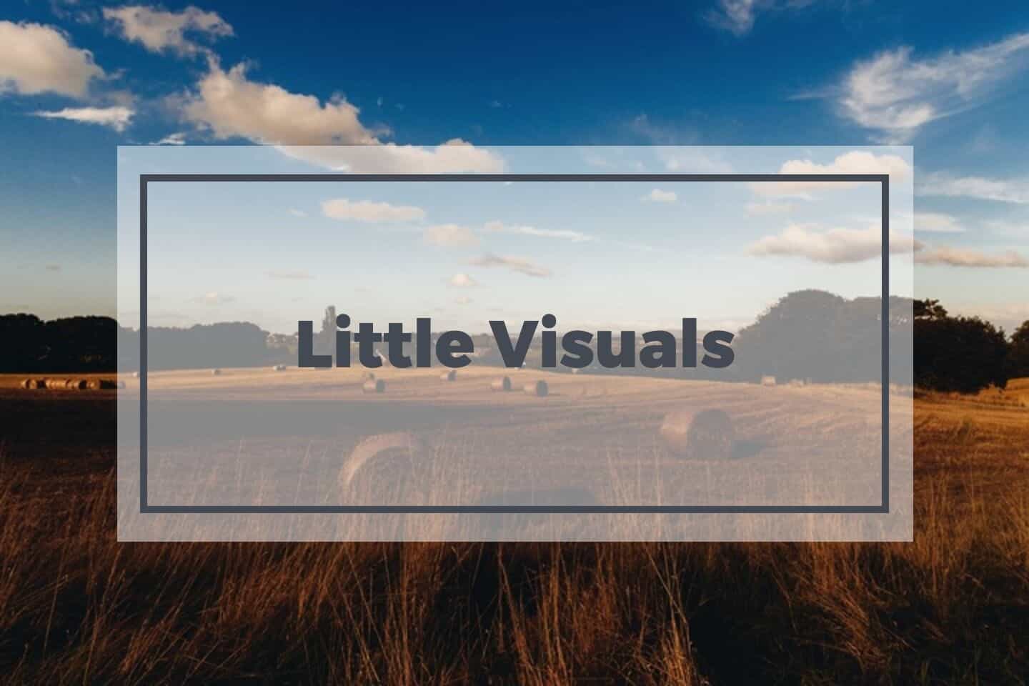 little Visual 2